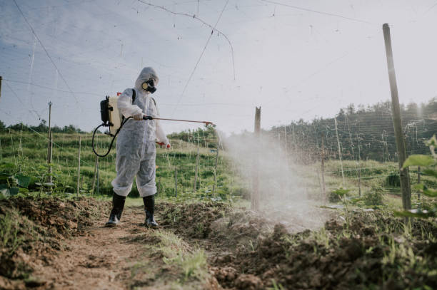 Professional Pest Control in Walworth, WI