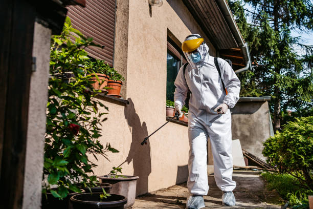 Best Best Pest Control Companies  in Walworth, WI