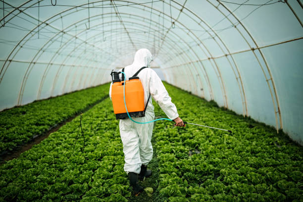 Best Pest Prevention Services  in Walworth, WI
