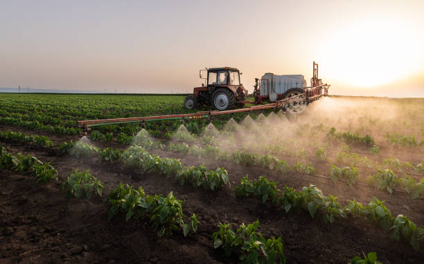 Best Pest Control for Homes  in Walworth, WI