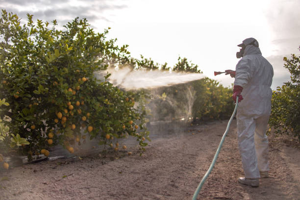 Best Pest Control Near Me  in Walworth, WI