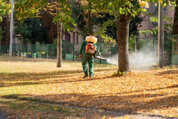 Best Wildlife Control Services  in Walworth, WI