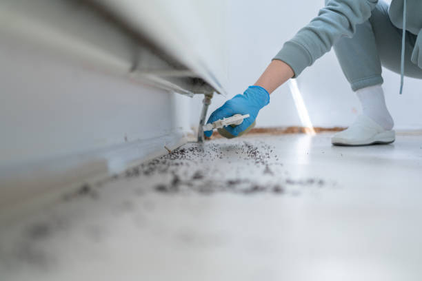 Best Pest Removal Services  in Walworth, WI